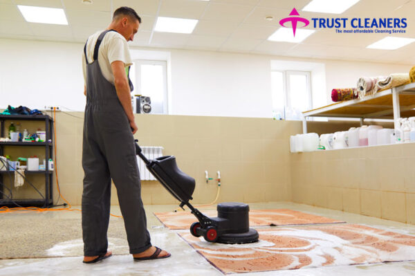 Carpet Cleaning - Image 3