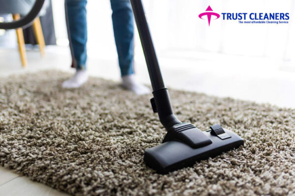 Upholstery Cleaning - Image 4