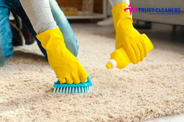 Upholstery Cleaning - Image 2